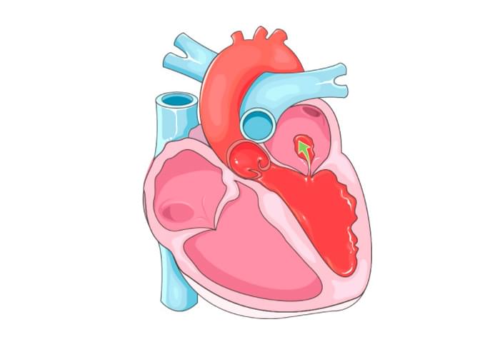Medical Art – Obrázky pro prezentace